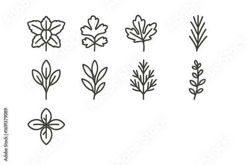 Herb Outline Icons. Outline icon set of garnish varieties: mint sprig, cilantro sprig, parsley sprig, rosemary