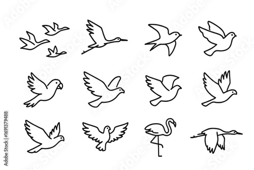 Bird Icons Grid. Outline icon set of bird flocking: geese flying, stork, swallow, pigeon, parrot, eagle,
