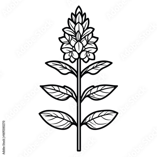 vector illustration of a flower