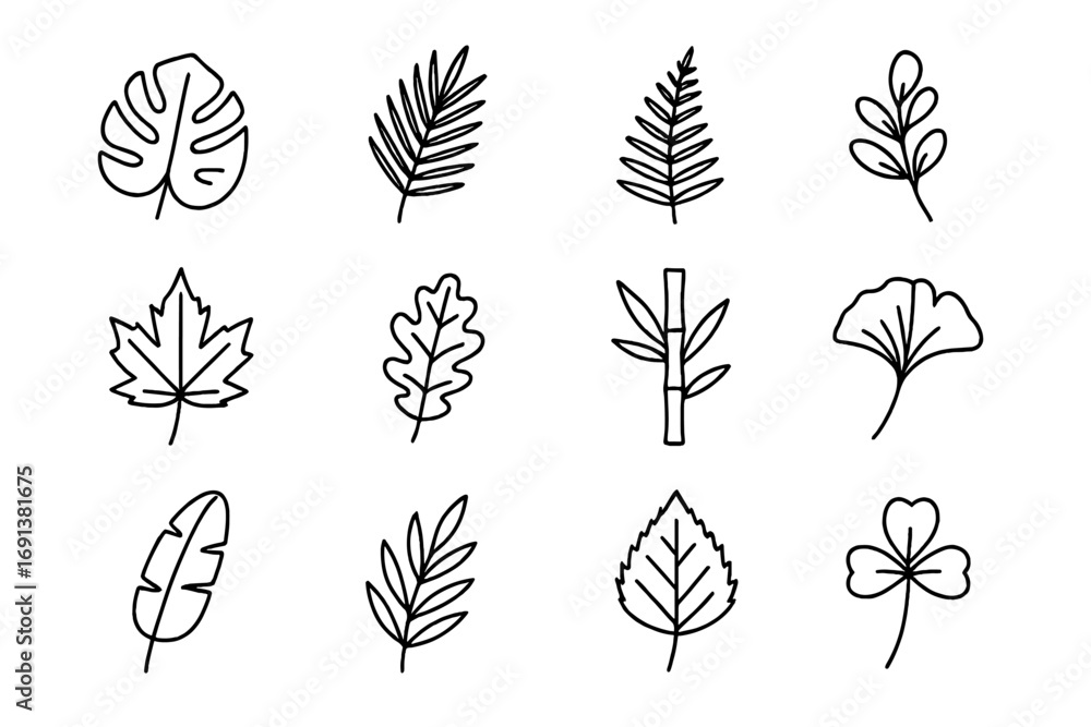 Fototapeta premium Nature Icon Set. Outline icon set of nature vibe package design with botanical leaves: monstera leaf, palm frond, fern branch,