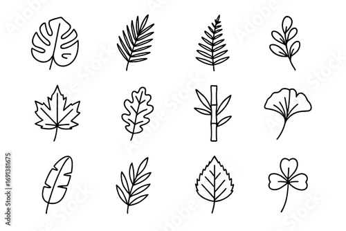 Nature Icon Set. Outline icon set of nature vibe package design with botanical leaves: monstera leaf, palm frond, fern branch,