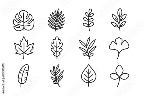 Nature Icon Set. Outline icon set of nature vibe package design with botanical leaves: monstera leaf, palm frond, fern branch,