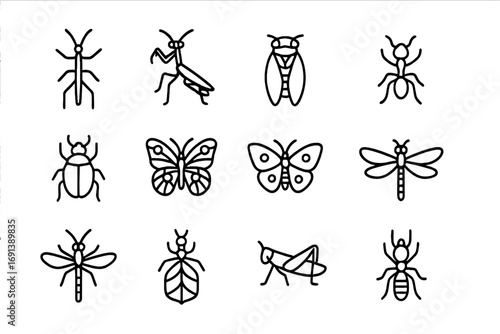 Tree Insect Icons. Outline icon set of tree-dwelling insect life: stick insect, praying mantis, cicada, ant, beetle, butterfly,