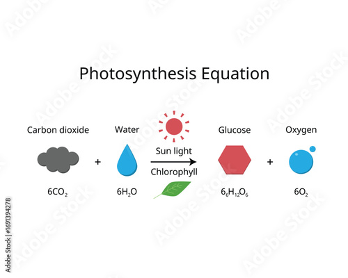 Photosynthesis Equation formula for Carbon Dioxide, Water, Glucose, and Oxygen