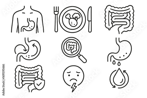 Digestion and intestine line icon set. Gut health, stomach, and digestive system anatomy symbols. Medical icons for stomachache, heartburn, and metabolism. Editable stroke vector.