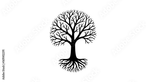 Black silhouette of a bare tree with intricate branches and roots.