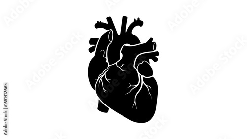 Black silhouette of an anatomical human heart icon 1.