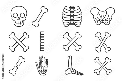 Human skeleton bones icon set. Line art collection of skull, rib cage, pelvis, hand, foot, and spine. Anatomy, medical, and orthopedic vector graphic illustrations.