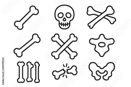 Bone and skull icon set. Vector line art of human skeleton parts for anatomy. Broken bone, pelvis, vertebra, and crossbones. Medical or pirate symbols collection.