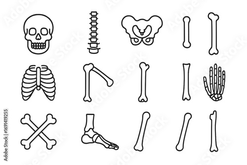 Human skeleton bones line icon set for medical, biology design. Anatomy parts collection with skull, spine, ribs, pelvis, hand, foot. Orthopedic vector icons. Editable stroke.