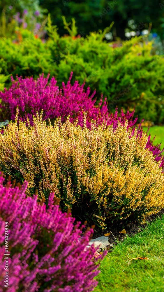 Obraz premium Vibrant garden with pink and yellow flowers