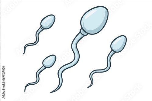 Sperm cells vector illustration for science and biology. Cartoon sperm for reproductive health, fertility, and conception concepts. Human anatomy and medical design element.