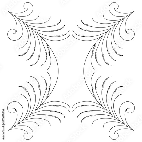 Elegant Swirling Feather Border Design
