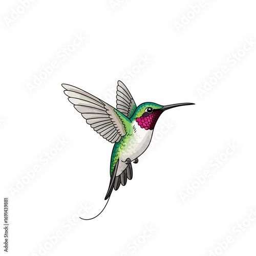 A vibrantly colored hummingbird gracefully hovering with wings outstretched, showcasing its vibrant plumage against a white background.
