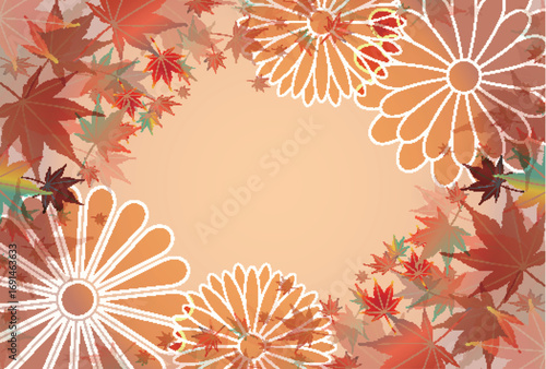 秋　紅葉　菊　背景	