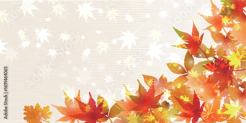 秋　紅葉　風景　背景	