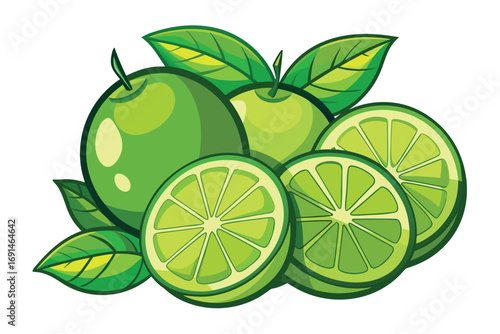 Vibrant illustration of fresh green limes and leaves whole and sliced showcasing juicy citrus fruit