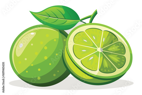 Vibrant illustration of a whole lime and a halved lime with fresh green leaves on a white background
