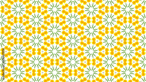 Modern background for fashion, tapestries, prints. pattern design perfect for fashion and decoration.