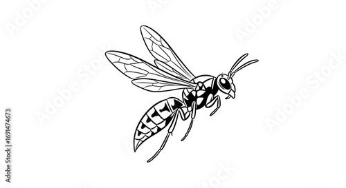 Stylized black and white line art of a flying wasp with a striped abdomen and detailed veined wings.