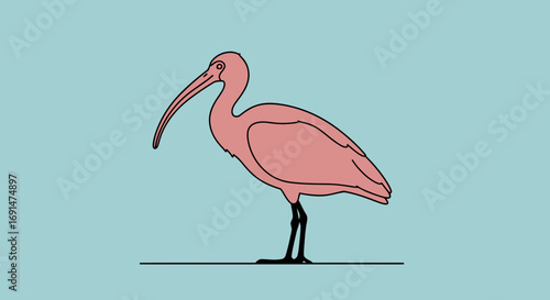 Stylized pink ibis illustration standing with long curved beak and slender black legs