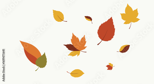 Colorful Autumn Leaves Floating Against a Simple White Background