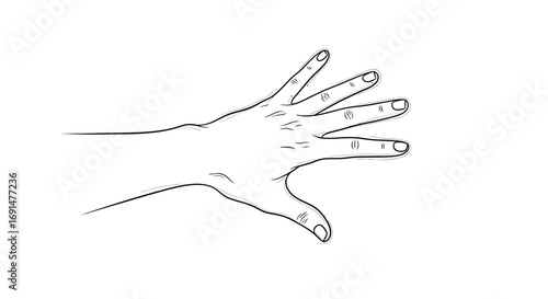 Detailed line art illustration of a human hand with fingers spread, black and white drawing.