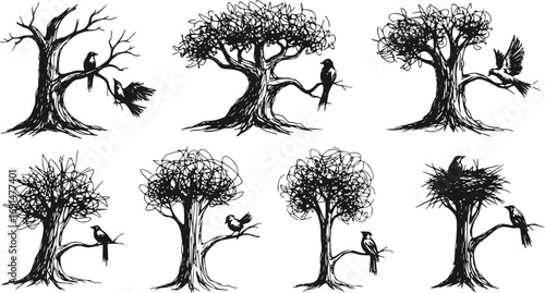 Set of Trees and Birds. Hand Drawn Nature Vector Illustrations of Wildlife and Forest Elements