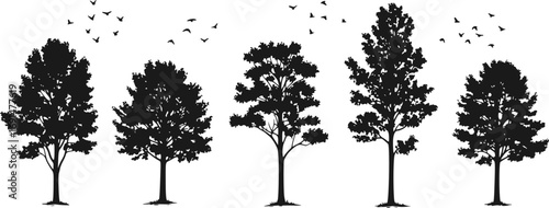 Set of Trees and Birds. Hand Drawn Nature Vector Illustrations of Wildlife and Forest Elements