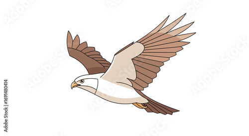 Stylized Illustration of a Falcon in Flight