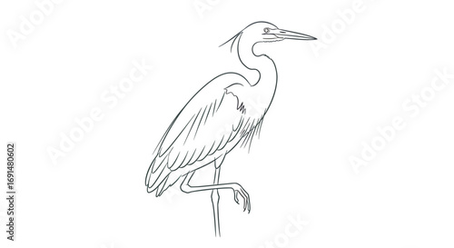 Elegant Heron Line Art Illustration Standing on One Leg, Simple Black Outline Drawing