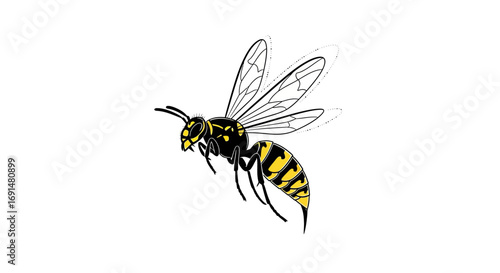 Vector Illustration of a Flying Wasp with Black and Yellow Stripes