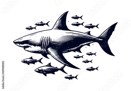 Great White Shark Hand Drawn Engraved Sketch Vector Illustration by AZ for Books, Arts, Design and Decoration Graphic Asset