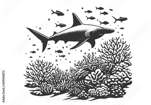 Hammerhead Shark Hand Drawn Engraved Sketch Vector Illustration by AZ for Books, Arts, Design and Decoration Graphic Asset