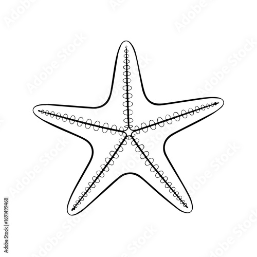 Starfish outline vector illustration for marine life designs and ocean themed graphic projects and templates