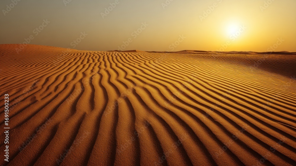 Naklejka premium Desert sand dunes at sunset