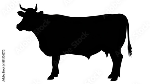 A cow in silhouette.