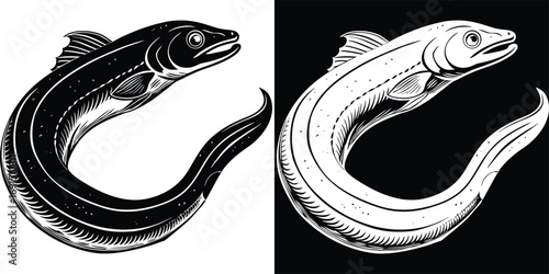 Dynamic eel illustration, a sleek aquatic creature in artistic linework, perfect for nature and ocean themes