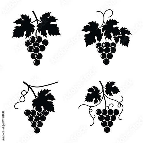 Four black silhouette illustrations of grapes with leaves and vines on a white background