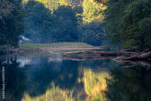 Tranquil River Scene with Reflections and Fallen Logs at Sutton Lake, West Virginia