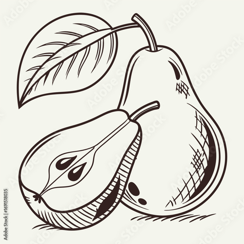 Detailed illustration of pears with a leaf, showing the fruits structure.