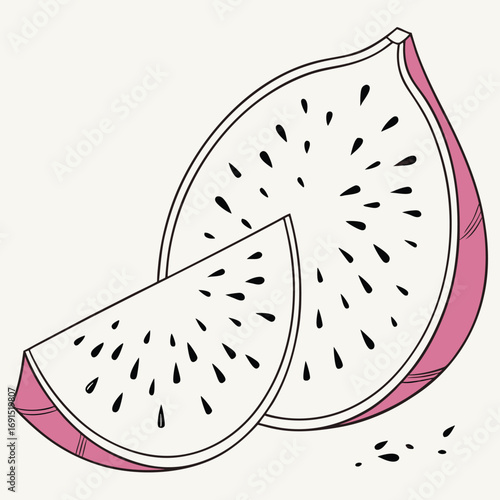 Dragon fruit slices illustration with black seeds and pink edges.