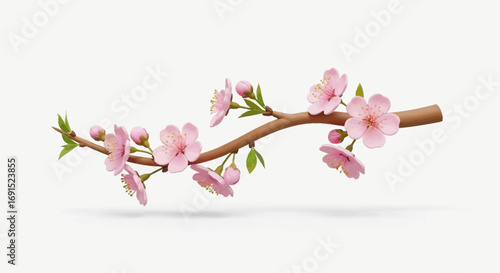 Delicate Cherry Blossom Branch Isolated on White Background