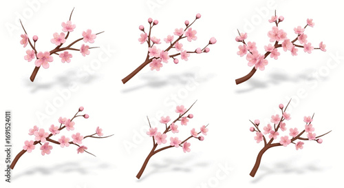 Six cherry blossom branches with soft shadows, depicted in a realistic style on a clean white background, perfect for spring and nature themes