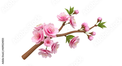 Delicate branch adorned with vibrant pink cherry blossoms, a beautiful symbol of spring's arrival, new beginnings, and ephemeral natural beauty isolated on white