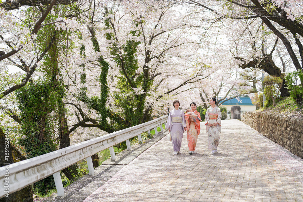 Fototapeta premium Three women in traditional Japanese clothing walk down a road lined with cherry blossoms. The scene is serene and peaceful, with the women enjoying the beauty of the flowers and the quiet surroundings