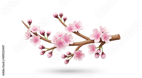 Beautiful pink cherry blossom branch with delicate flowers and buds against a white background, symbolizing spring and renewal