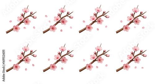Collection of delicate blooming cherry blossom branches, isolated set of pink sakura flowers for spring floral design pattern