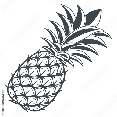 Detailed illustration of a single pineapple.