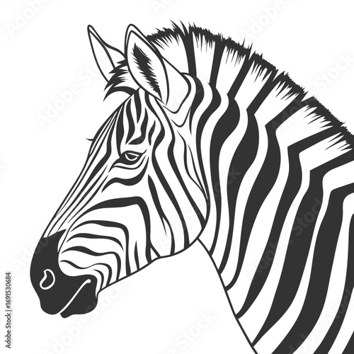 Striking Zebra Portrait - A Detailed Black and White Illustration.